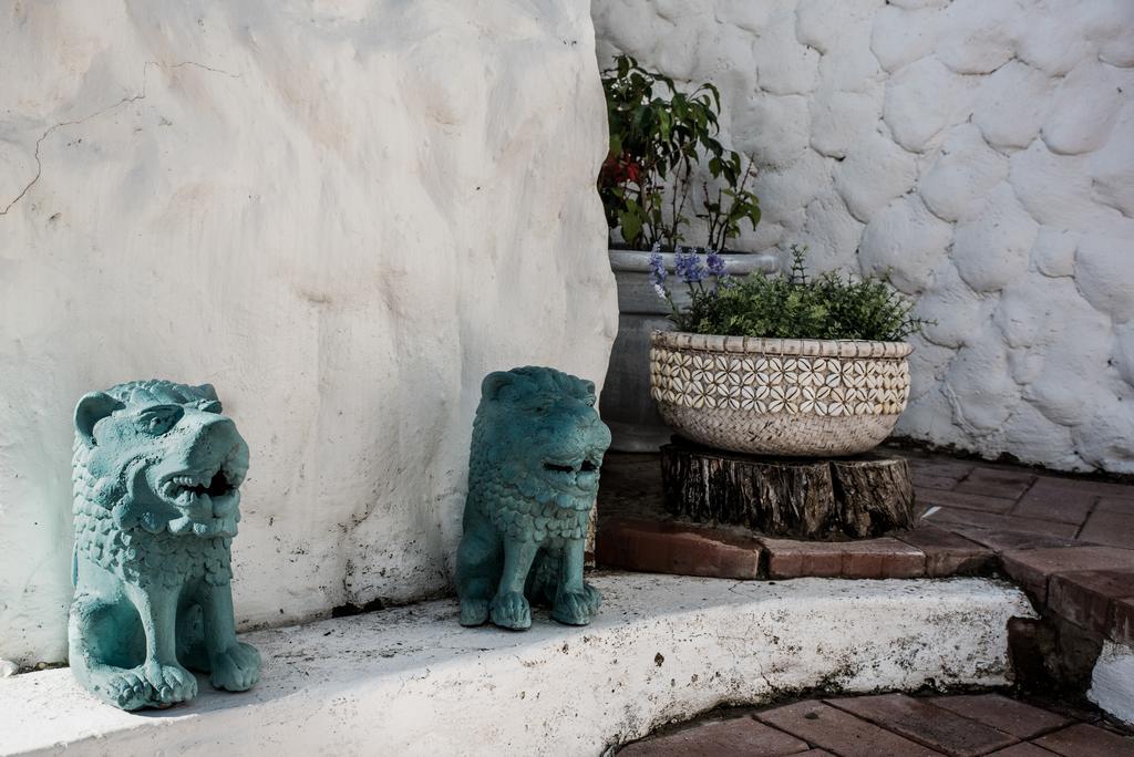 Valhalla Self Catering Μόσελ Μπέι Εξωτερικό φωτογραφία